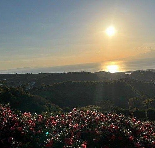 🏞️ 실산 전망 공원(겐야마 텐보코엔) 이미지 5